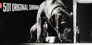 501 shrink dog